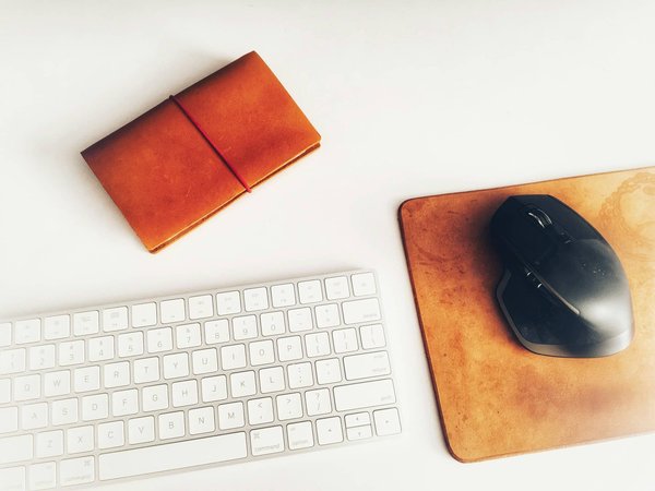Quels sont les avantages des souris avec capteurs optiques personnalisables ?